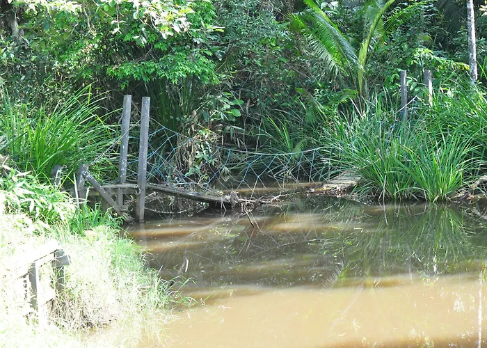 Samboja Lodge Balikpapan 
